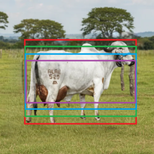 URBANA FIV RV MONTE AZUL